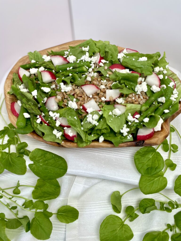 Spring Garden farro salad with radishes, goat cheese, lettuce and watercress in wood bowl
